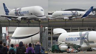 Hundreds gather to watch huge Airbus Beluga XL arrive into Heathrow for the first time ever- 9/9/24