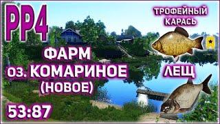 РР4 ОЗЕРО КОМАРИНОЕ ФАРМ НА ЛЕЩЕ И ТРОФЕЙНЫЙ КАРАСЬ / РУССКАЯ РЫБАЛКА 4 ОЗЕРО КОМАРИНОЕ ФАРМ НА ЛЕЩЕ