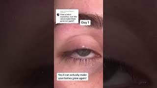 Yes the Lash by Maya serum can actually make your lashes grew back! 