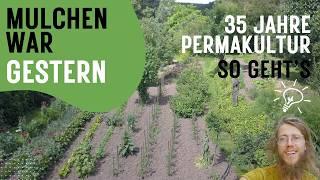 The best tips from 35 years of permaculture - No mulching, no pests with this trick *abridged