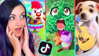 Animal Crossing TikTok Memes That Are Actually FUNNY 2