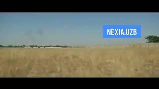 Cobalt vs Nexia 1.6