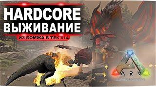 Идем на арену Ragnarok за драконом и мантикорой. Соло HardCore выживание в ARK  (#14 стрим)