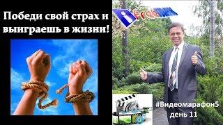 Победить и выиграть в чем разница