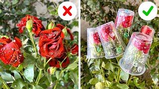 Trucos de Jardinería Probados y Verdaderos que Realmente Funcionan 