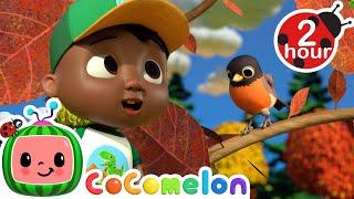 Cody's Fall Song  CoComelon - It's Cody Time | Nursery Rhymes and Kids Songs | After School Club