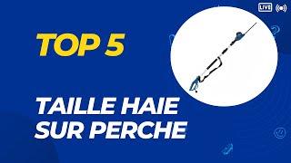 Top 5 Meilleur Taille Haie sur Perche 2024