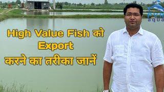 मछली को Export कैसे करें?  A Guide to High-Value Fish Exports