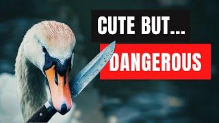 The Most Dangerous Animals You Didn't Expect