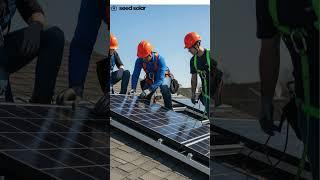 Seed Solar Panels