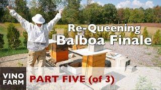 Just Wait... A Beekeeping Lesson