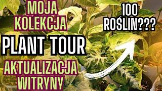 PLANT TOUR  Moja kolekcja roślin 