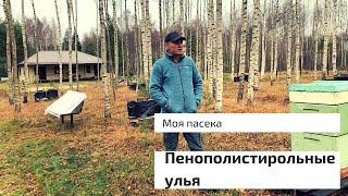 ПЕНОПОЛИСТИРОЛЬНЫЕ УЛЬЯ