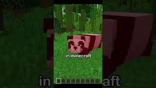 the rarest seed in minecraft…