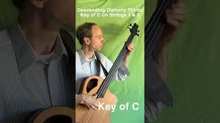 Descending Diatonic Thirds in the Key of C on Strings 1 & 2 #jazz #bass #basspractice