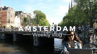 Moving to Amsterdam?