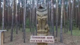 Мичуринск - аэросъёмка Тамбовской области