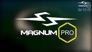 Обзор лодочного мотора Magnum Pro SM9.8HS