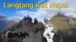 Langtang trek