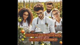 The Bloom of Becoming: How to Assess Your Fruits of the Spirit