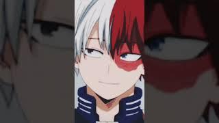 MY HERO ACADEMIA (TODOROKI). Outside.