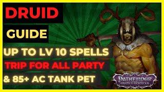 PF: WOTR ENHANCED - DRUID Guide: LV10 SPELLS, PARTY WIDE TRIP & Tank PET