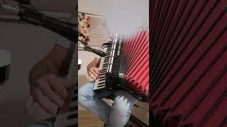 Instrumental creștin, Acordeon Weltmeister Cantus 5 de luxe. Akkordeon