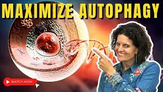 AUTOPHAGY | 5 Keys to Maximize Autophagy Benefits