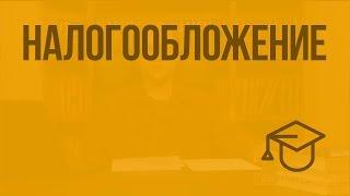 Налогообложение. Видеоурок по обществознанию 11 класс