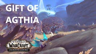 Gift of Agthia | World of Warcraft: Shadowlands