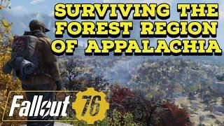 Waste Lord's Survival Guide: The Forest Region of Appalachia.