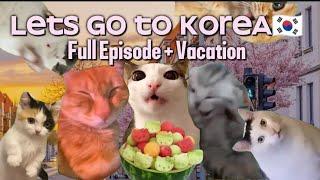 "Lets Go To KOREA" But Cat memes (Vacation to Korea) Full episode! (Watch till the end 