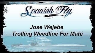 Trolling Weed Line for Mahi Mahi or Dolphin- Spanish Fly TV/ Jose Wejebe