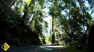 Shore Break Baby - Cardiel Time Well Spent