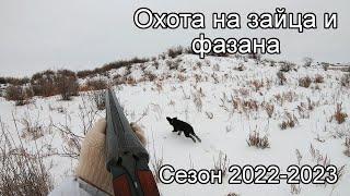 Охота на зайца и фазана 01-02 декабря 2022 г.