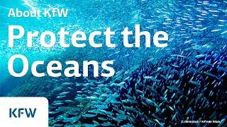Solutions for a Sustainable Marine Future: KfW Development Finance Forum 2017