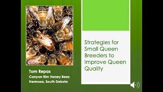 7  Strategies for Small Queen Breeders to Improve Queen Quality