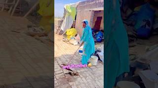 Wait for end Mr mrs padda #shortsfeed #shorts #instagram #trending #viralvideo #explore
