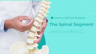 Spinal Segment L2 & L3