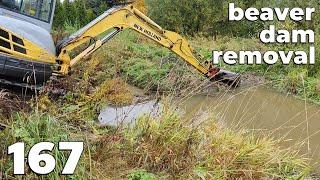 Beaver Dam Removal With Excavator No.167