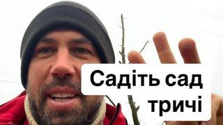 Садіть сад тричі. Важливе про посадку саду