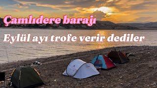 Çamlıdere barajı balık kampı 07.09.2024 #fishing #camping #carpfishing #sazanavi