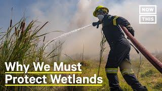 Why We Must Protect Wetlands