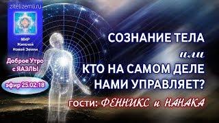 Доброе Утро с ЯАЭЛЬ! СОЗНАНИЕ ТЕЛА или КТО НА САМОМ ДЕЛЕ НАМИ УПРАВЛЯЕТ? (эфир 25.02.18)