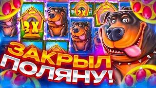 ПОЙМАЛ x400 В СПИНЕ В СОБАКАХ! / THE DOG HOUSE MEGAWAYS / ЗАКРЫЛ ПОЛЯНУ СИНИХ СОБАК