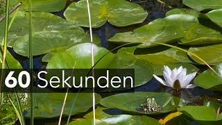 60 Sekunden - Bildungstag Botanischer Garten Berlin