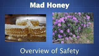 Mad Honey (Grayanotoxin): You Should Probably Avoid It