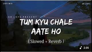 Tum Kyu Chale Aate Ho - Lofi Mix (Slowed + Reverb) | Vicky Singh | SR Lofi