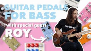 How To Use Guitar Pedals For Bass (w/ Roy Mitchell-Cárdenas)