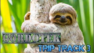 GordoTEK Trip Track 3